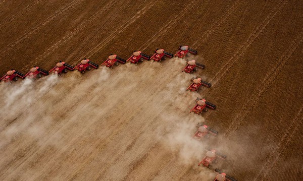 Capa IBGE: safra de 2021 deve superar recorde de 2020