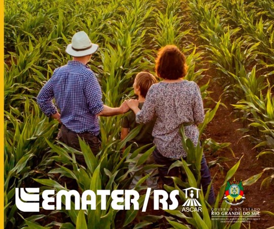 Capa Saúde do trabalhador e da trabalhadora rural em pauta