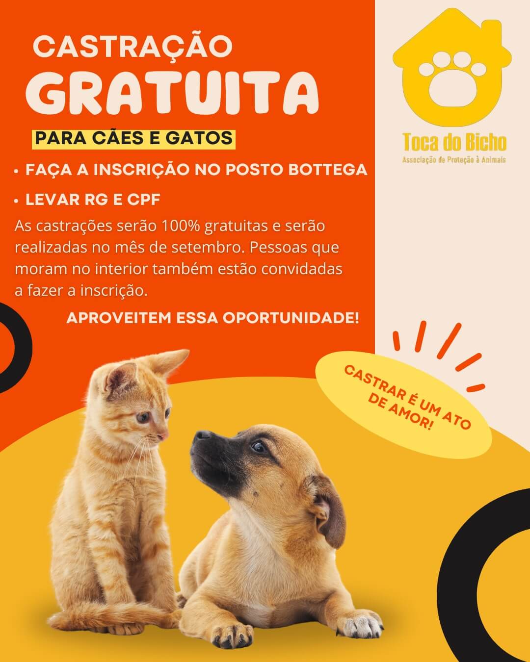 Capa Estão abertas as inscrições para castração gratuita de cães e gatos