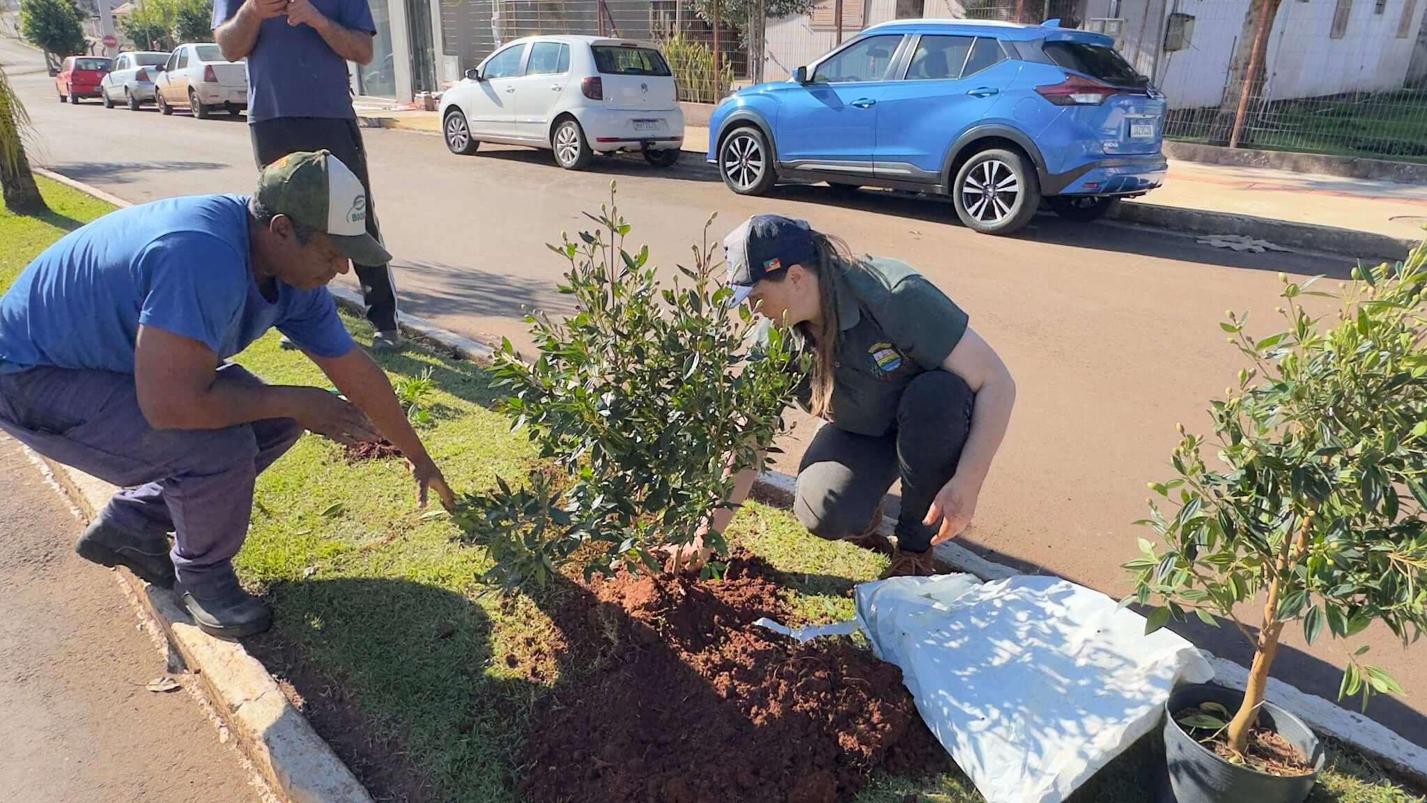 Capa Prefeitura de Erval Seco orienta população sobre o planejamento da arborização urbana