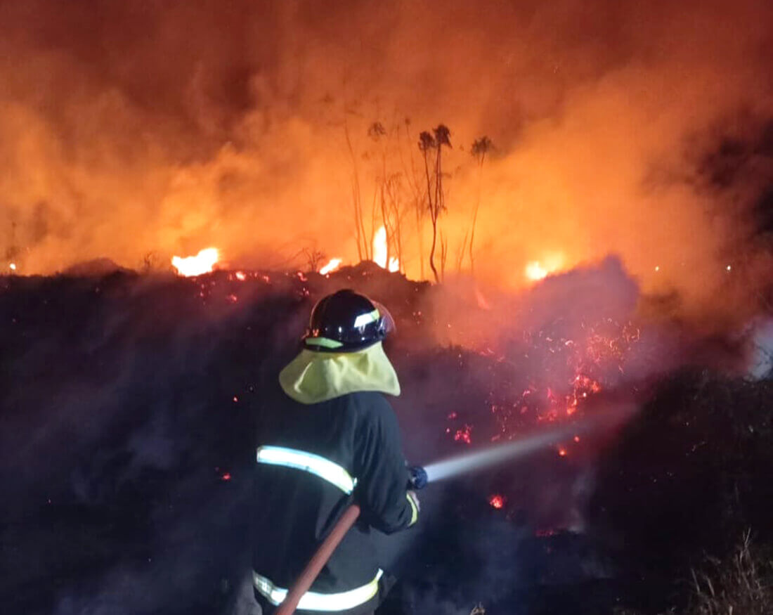 Capa Incêndio em vegetação mobiliza Bombeiros Voluntários em Tenente Portela