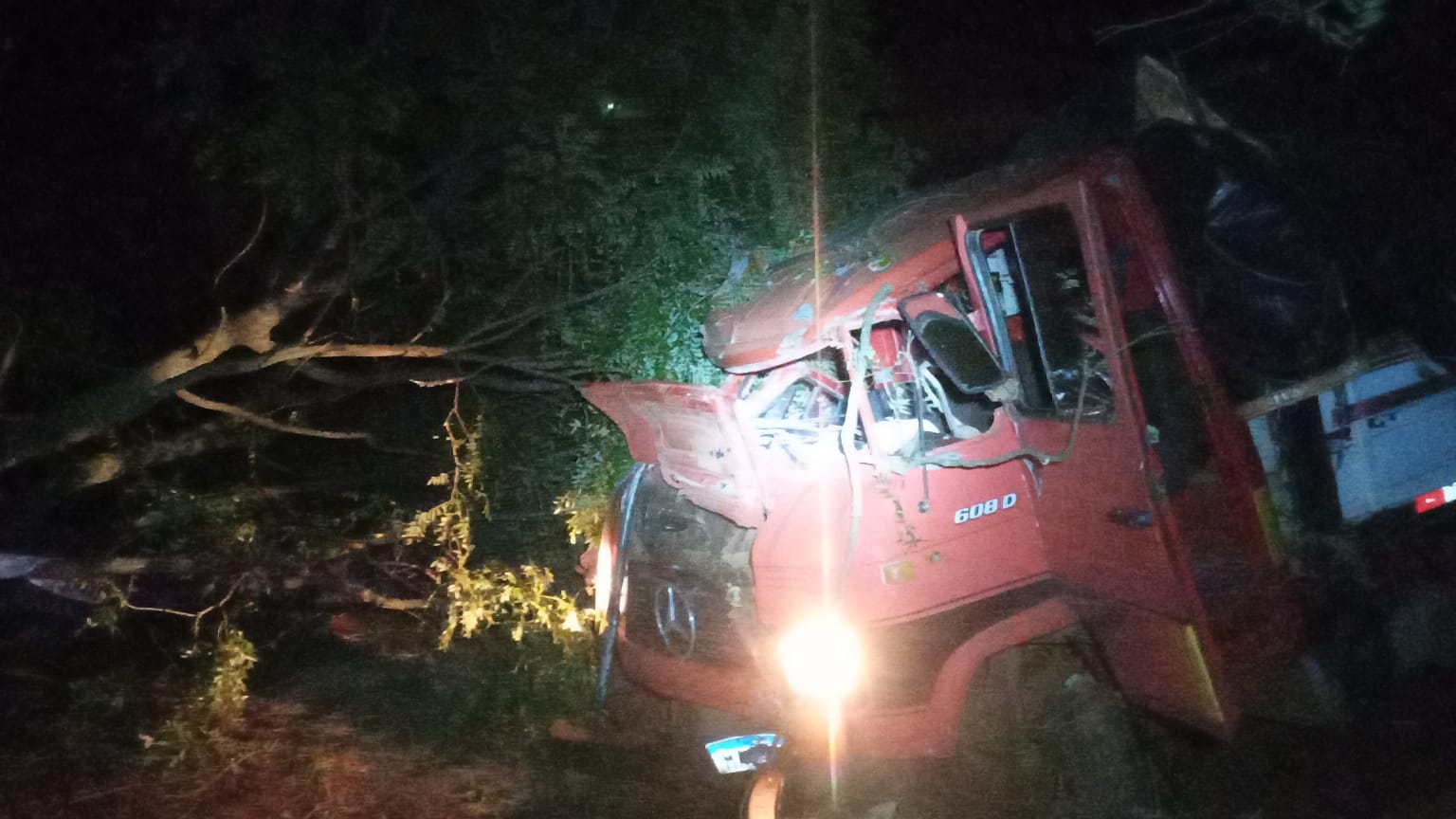 Capa Caminhão sai da pista e colide com árvores na BR-468 em Coronel Bicaco