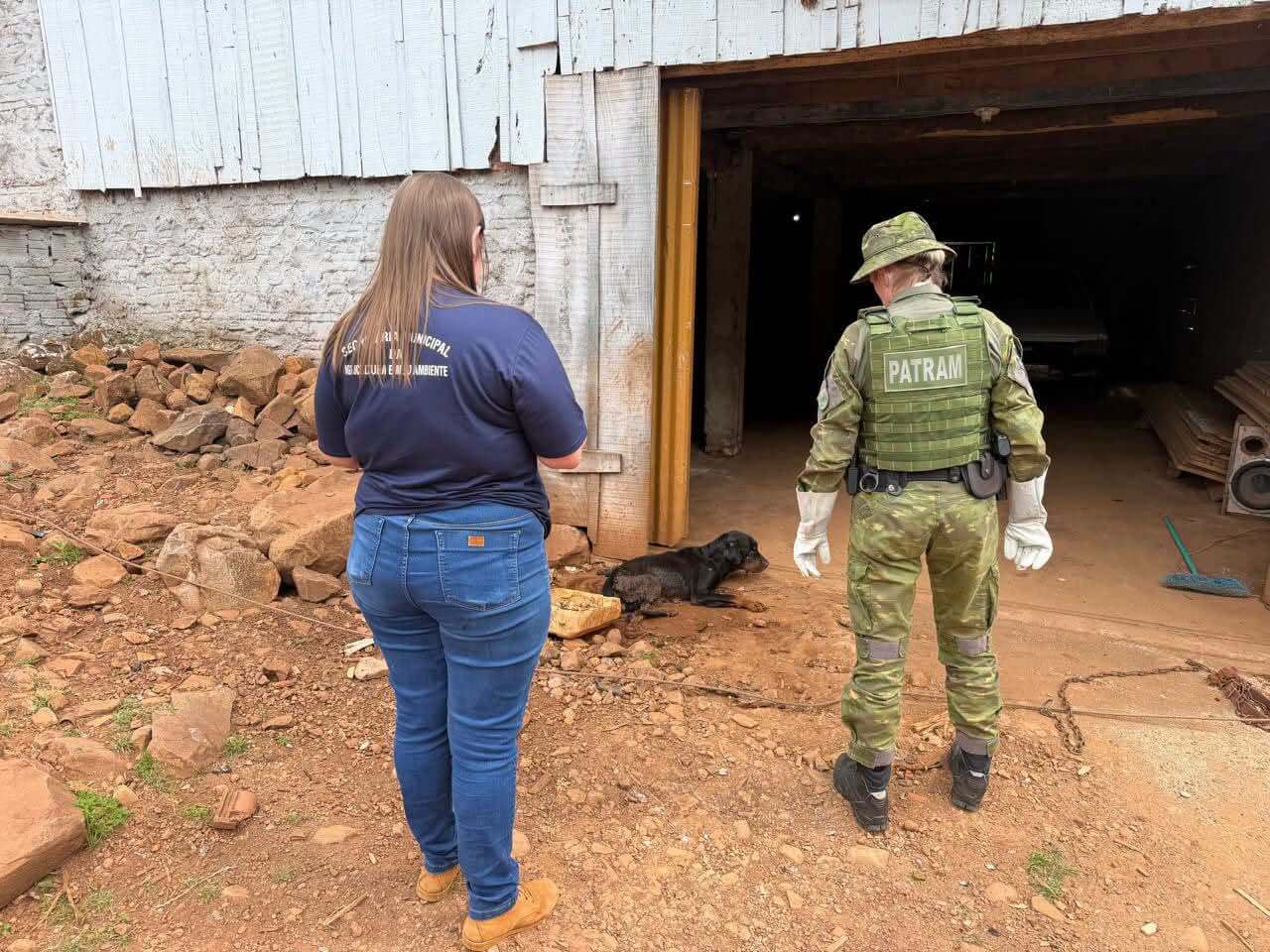 Capa Polícia resgata cão vítima de maus-tratos em Erval Seco