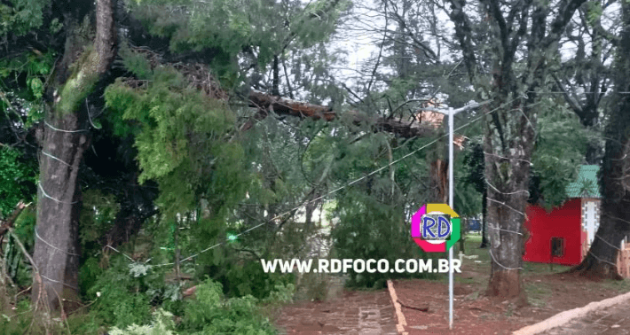 Capa Chuva forte e ventania causam estragos em Redentora e região neste domingo